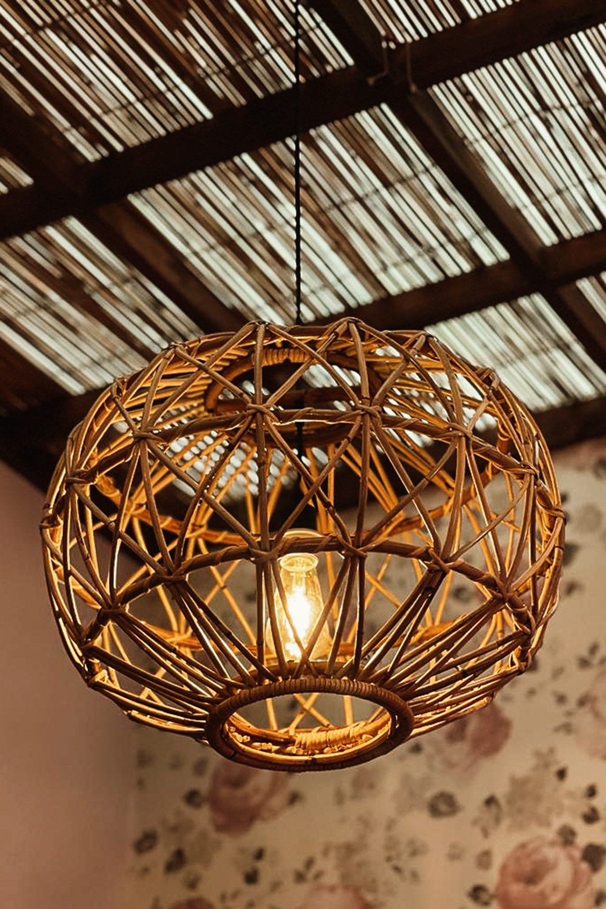 Circular Pendant Light