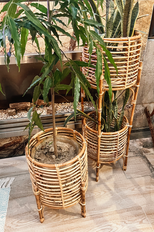 Bucket Planters