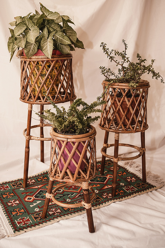 Trio Cane Planters