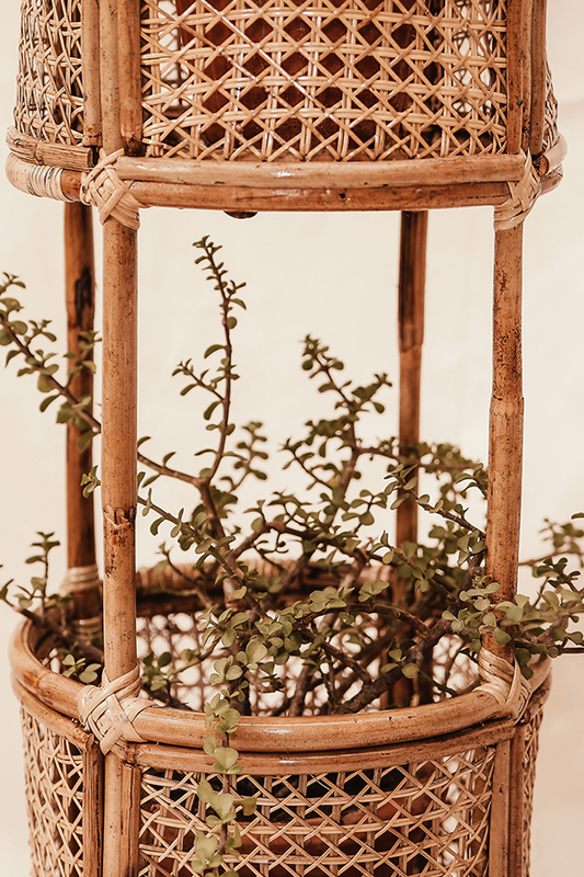 Double Rattan Planter