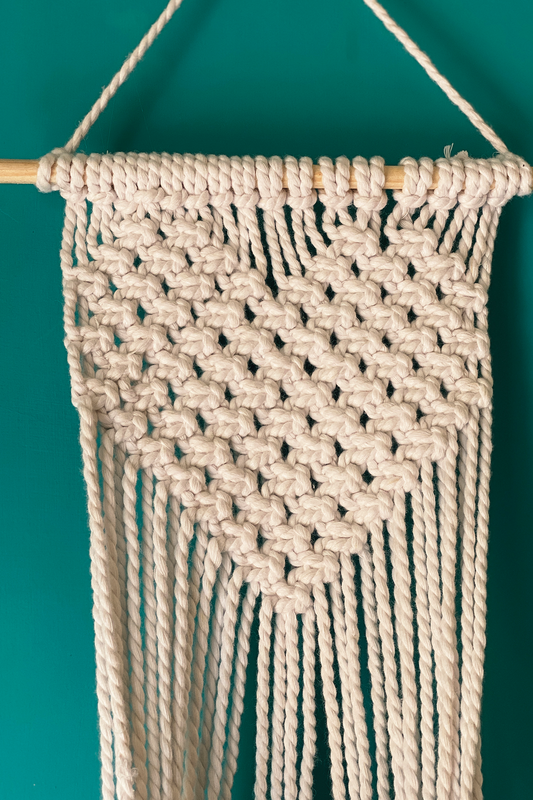 Macramé Hanging Planter - II