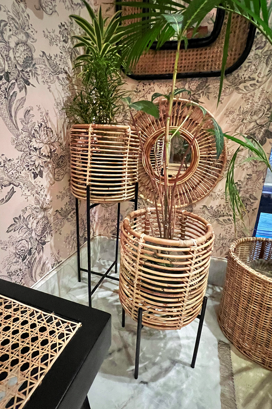 Rattan & Iron Planters